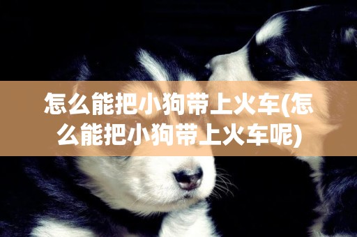 怎么能把小狗帶上火車(怎么能把小狗帶上火車呢)