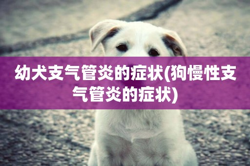 幼犬支氣管炎的癥狀(狗慢性支氣管炎的癥狀)