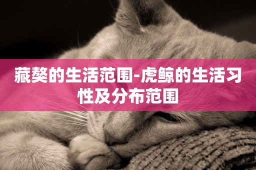 藏獒的生活范圍-虎鯨的生活習性及分布范圍
