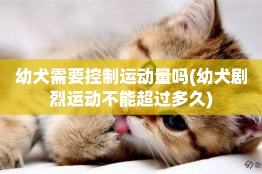 幼犬需要控制運動量嗎(幼犬劇烈運動不能超過多久)
