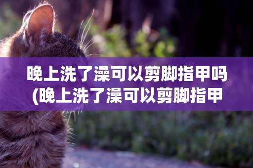 晚上洗了澡可以剪腳指甲嗎(晚上洗了澡可以剪腳指甲嗎冬天)