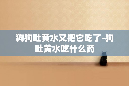 狗狗吐黃水又把它吃了-狗吐黃水吃什么藥