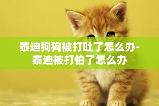 泰迪狗狗被打吐了怎么辦-泰迪被打怕了怎么辦