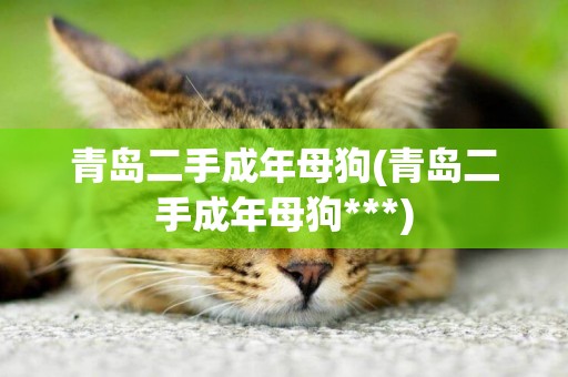 青島二手成年母狗(青島二手成年母狗***)