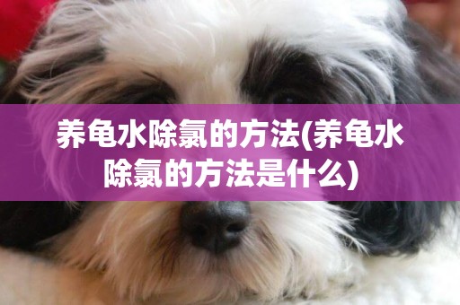 養龜水除氯的方法(養龜水除氯的方法是什么)