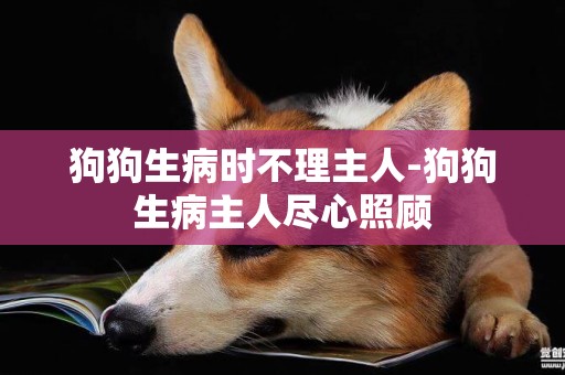 狗狗生病時不理主人-狗狗生病主人盡心照顧