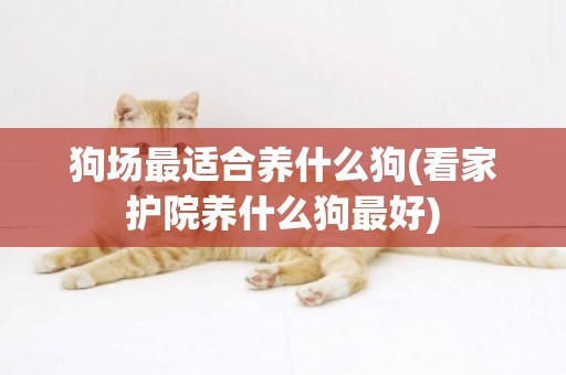 狗場最適合養什么狗(看家護院養什么狗最好)
