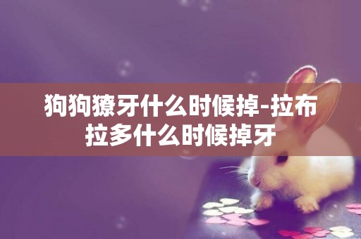 狗狗獠牙什么時候掉-拉布拉多什么時候掉牙