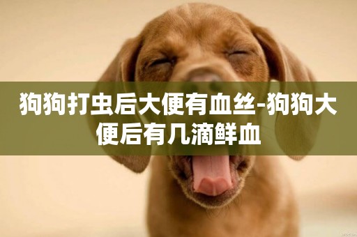 狗狗打蟲后大便有血絲-狗狗大便后有幾滴鮮血