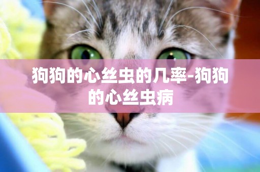 狗狗的心絲蟲的幾率-狗狗的心絲蟲病
