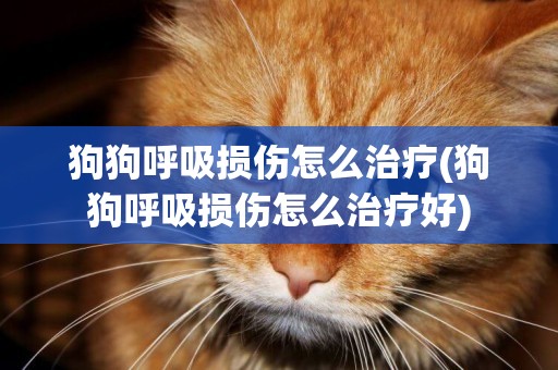 狗狗呼吸損傷怎么治療(狗狗呼吸損傷怎么治療好)