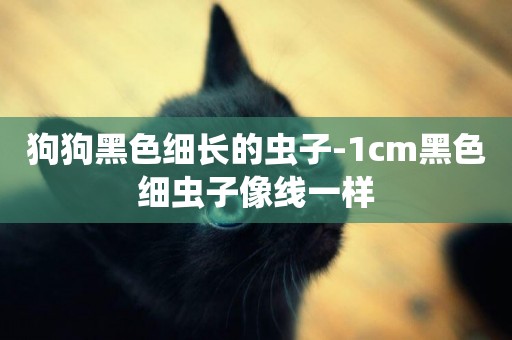 狗狗黑色細長的蟲子-1cm黑色細蟲子像線一樣