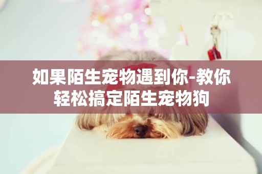 如果陌生寵物遇到你-教你輕松搞定陌生寵物狗