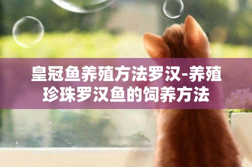 皇冠魚養殖方法羅漢-養殖珍珠羅漢魚的飼養方法