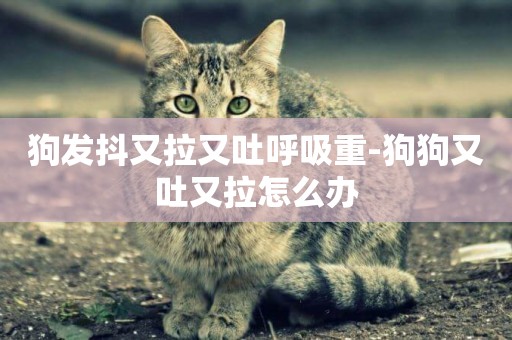 狗發抖又拉又吐呼吸重-狗狗又吐又拉怎么辦