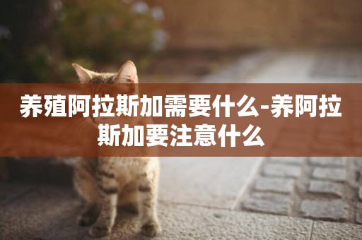 養殖阿拉斯加需要什么-養阿拉斯加要注意什么