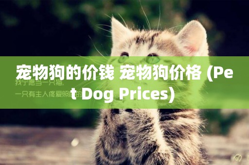 寵物狗的價錢 寵物狗價格 (Pet Dog Prices) 