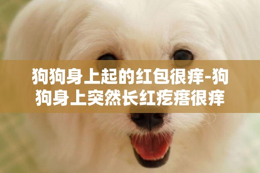 狗狗身上起的紅包很癢-狗狗身上突然長紅疙瘩很癢