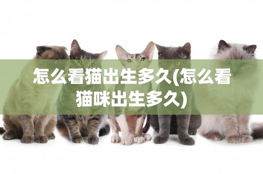 怎么看貓出生多久(怎么看貓咪出生多久)