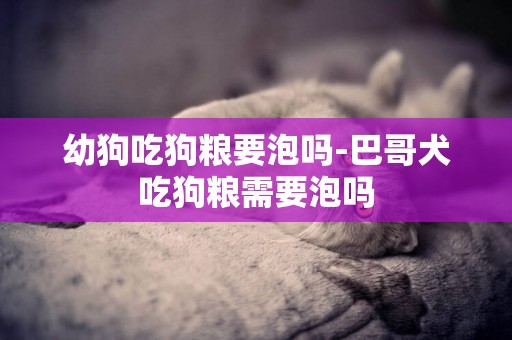 幼狗吃狗糧要泡嗎-巴哥犬吃狗糧需要泡嗎
