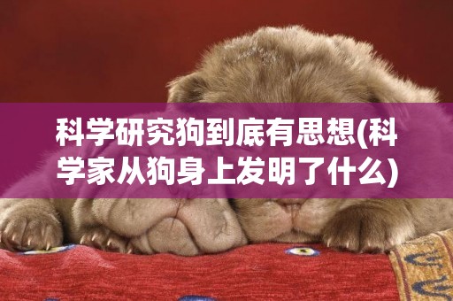 科學研究狗到底有思想(科學家從狗身上發明了什么)