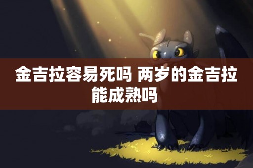 金吉拉容易死嗎 兩歲的金吉拉能成熟嗎 