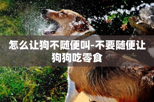 怎么讓狗不隨便叫-不要隨便讓狗狗吃零食