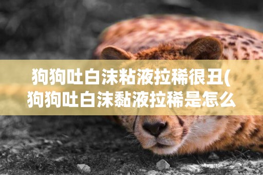 狗狗吐白沫粘液拉稀很丑(狗狗吐白沫黏液拉稀是怎么回事)