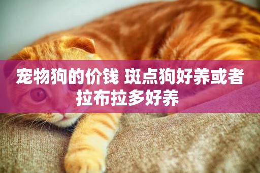 寵物狗的價錢 斑點狗好養或者拉布拉多好養 