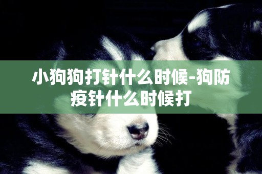 小狗狗打針什么時候-狗防疫針什么時候打