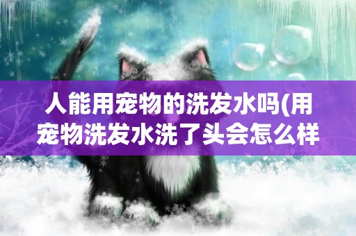 人能用寵物的洗發水嗎(用寵物洗發水洗了頭會怎么樣)