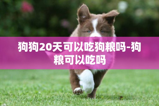 狗狗20天可以吃狗糧嗎-狗糧可以吃嗎
