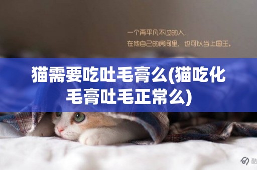 貓需要吃吐毛膏么(貓吃化毛膏吐毛正常么)