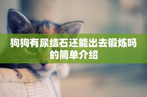 狗狗有尿結石還能出去鍛煉嗎的簡單介紹