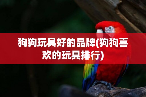 狗狗玩具好的品牌(狗狗喜歡的玩具排行)