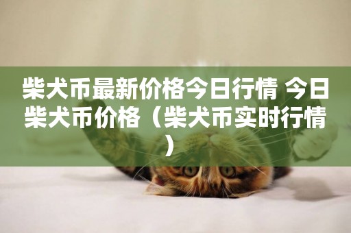 柴犬幣最新價格今日行情 今日柴犬幣價格（柴犬幣實時行情） 