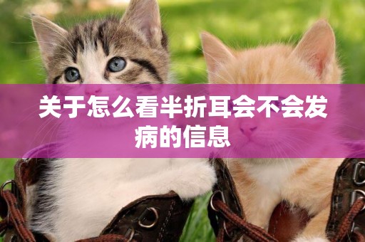 關于怎么看半折耳會不會發病的信息