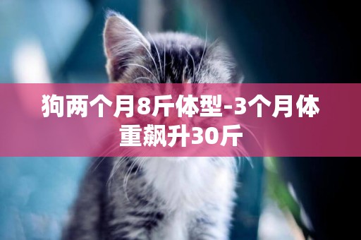 狗兩個月8斤體型-3個月體重飆升30斤