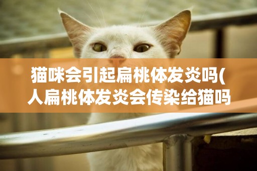 貓咪會引起扁桃體發炎嗎(人扁桃體發炎會傳染給貓嗎)