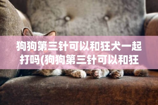 狗狗第三針可以和狂犬一起打嗎(狗狗第三針可以和狂犬一起打嗎新冠疫苗)