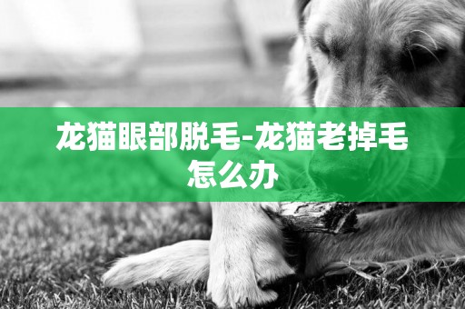 龍貓眼部脫毛-龍貓老掉毛怎么辦