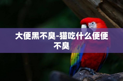 大便黑不臭-貓吃什么便便不臭