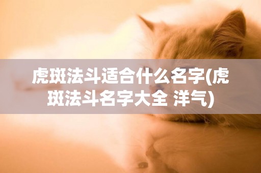 虎斑法斗適合什么名字(虎斑法斗名字大全 洋氣)