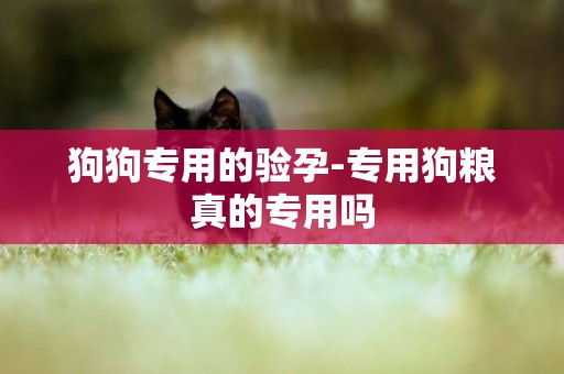 狗狗專用的驗孕-專用狗糧真的專用嗎