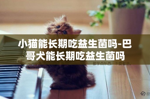 小貓能長期吃益生菌嗎-巴哥犬能長期吃益生菌嗎