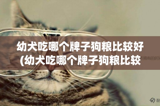 幼犬吃哪個牌子狗糧比較好(幼犬吃哪個牌子狗糧比較好吃)