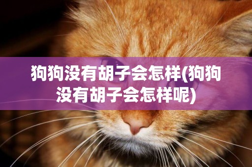 狗狗沒有胡子會怎樣(狗狗沒有胡子會怎樣呢)