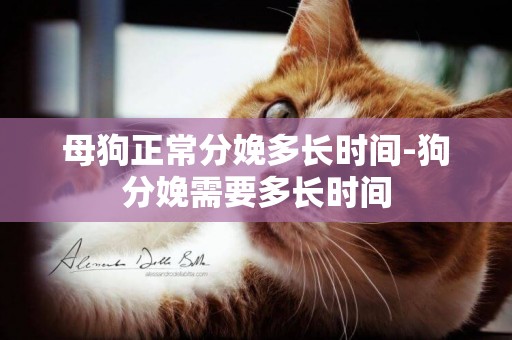 母狗正常分娩多長時間-狗分娩需要多長時間