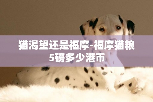 貓渴望還是福摩-福摩貓糧5磅多少港幣