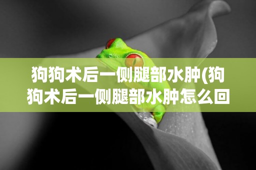 狗狗術后一側腿部水腫(狗狗術后一側腿部水腫怎么回事)